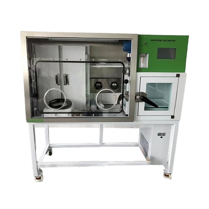 Anaerobic Incubator